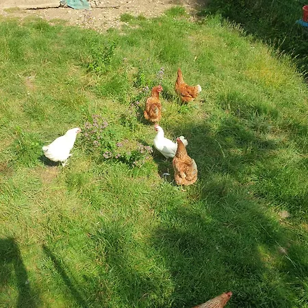 La Longere Privatunterkunft *