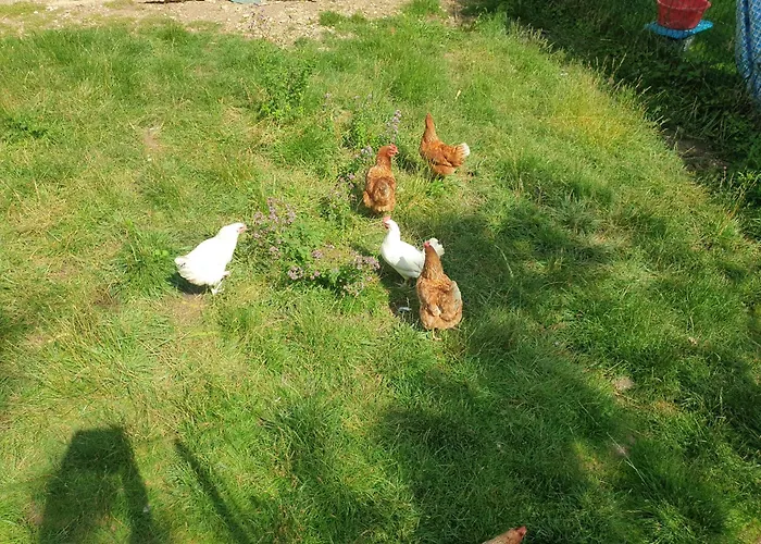 La Longere Pansiyon *